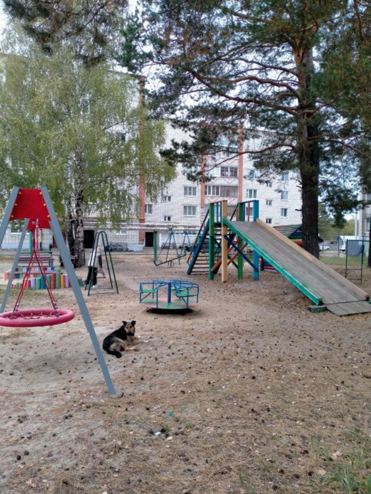 1-комн квартира Заречная, 5